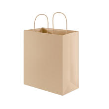 Brown Craft Paper Bag for Shopping